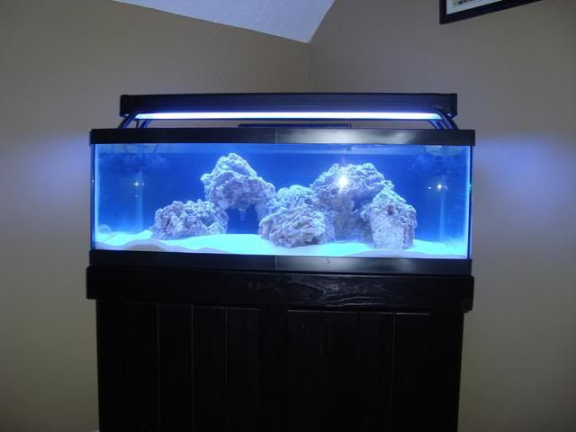 tank029.jpg