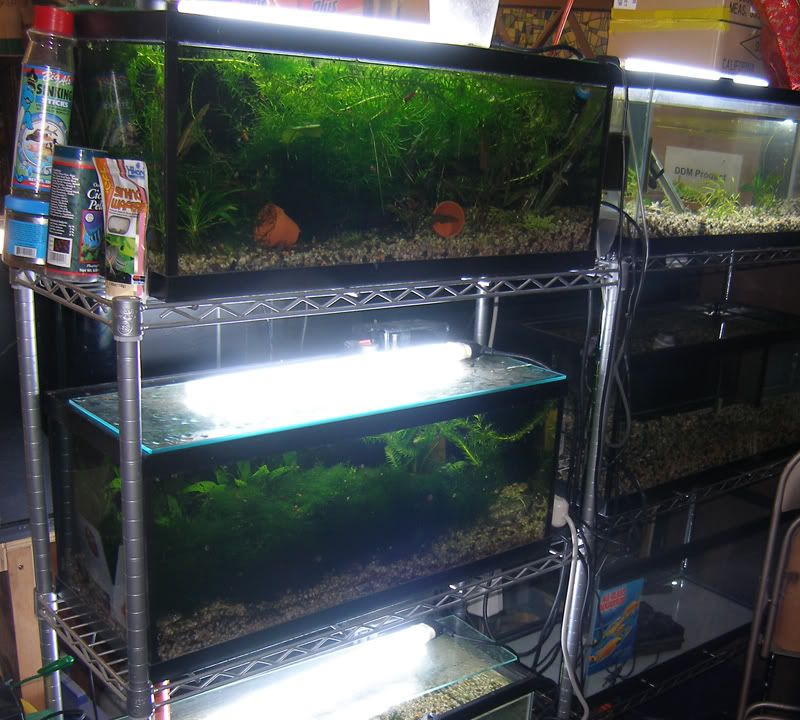 rack1.jpg