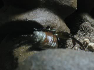 c4_320x240.jpg