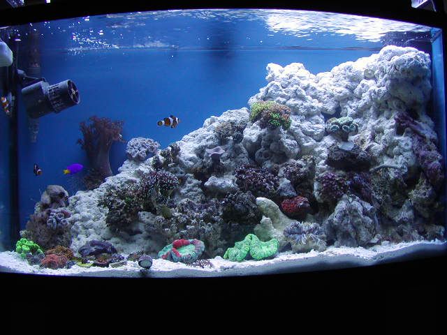 P1010012-10.jpg