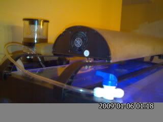 IMG260.jpg