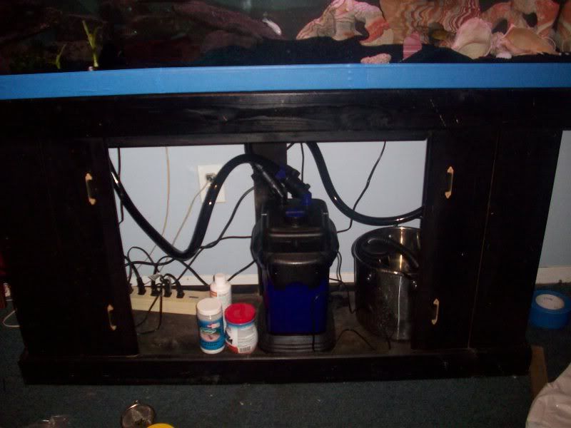 tank1.jpg