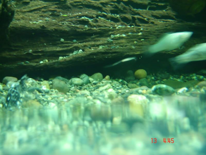 DSC03097.jpg