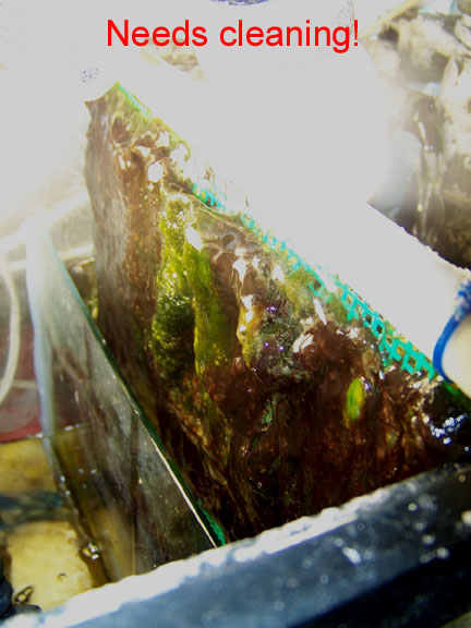 UserAcuarioOceanicOnAR-1.jpg