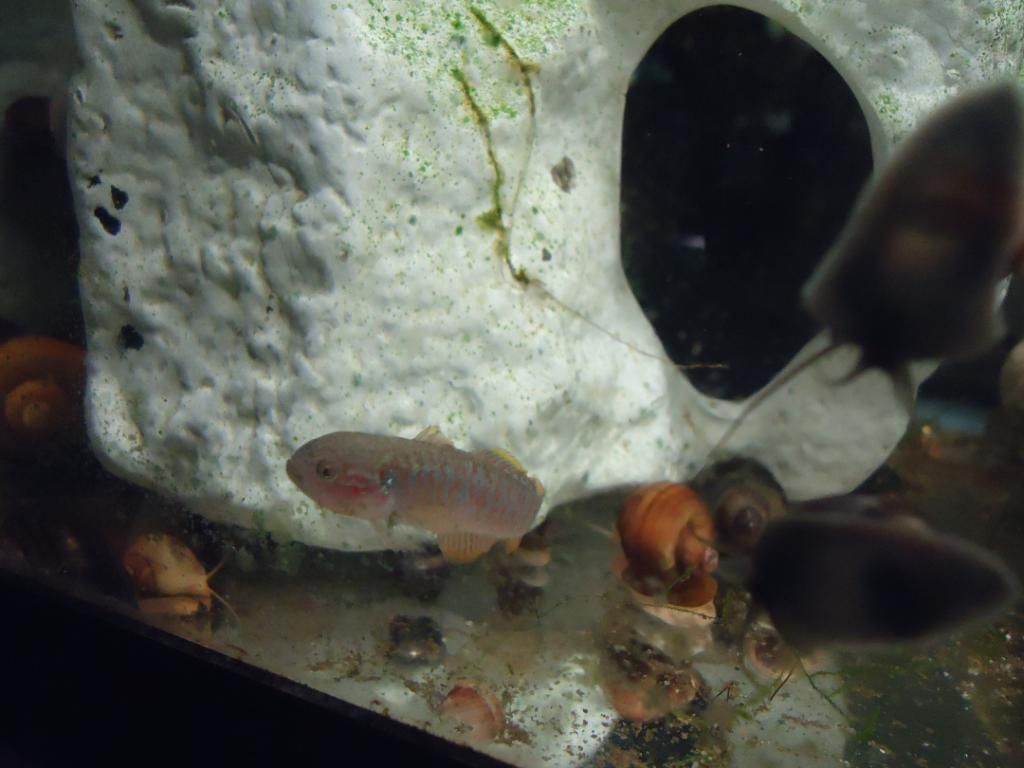 DSC08804.jpg