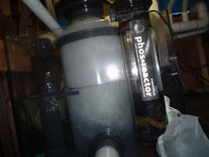 LFSg4skimmer.jpg