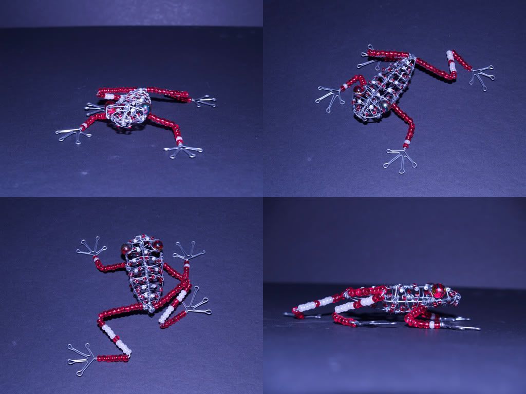 clowntreefrog.jpg