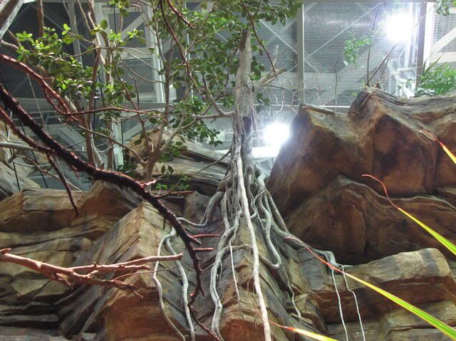 CopyofAquarium200716.jpg