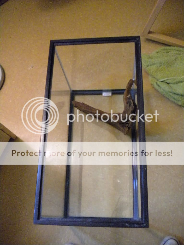 DSCN0226-2.jpg