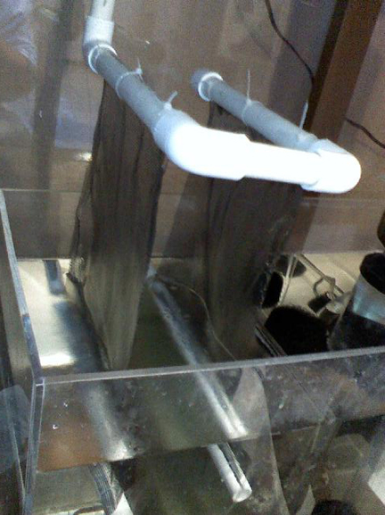 UserCesarRoshOnAR-2.jpg