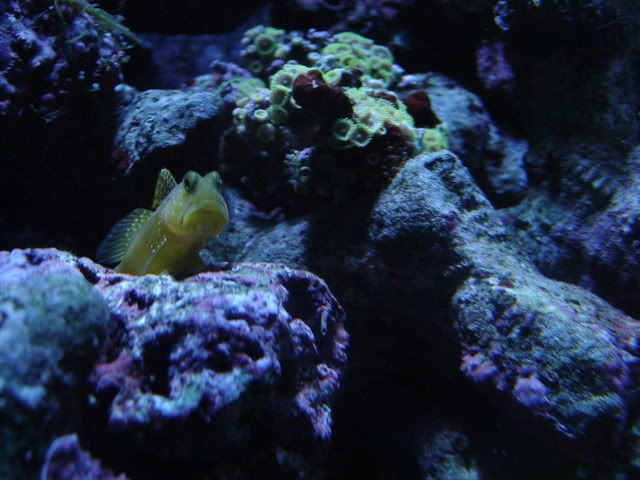 DSC09018.jpg