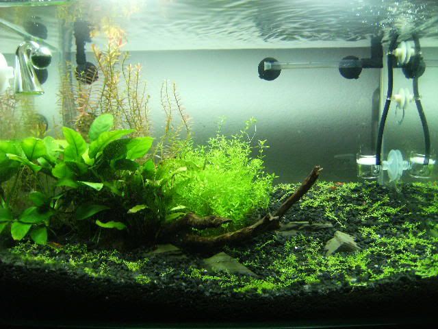 DSCF9348.jpg