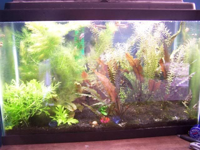 picture015.jpg