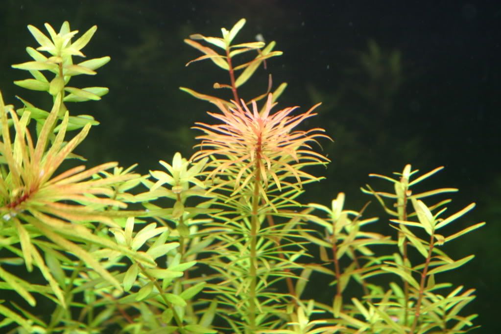 60g04-12-10006.jpg