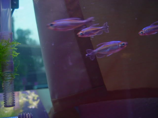 DSC03409.jpg