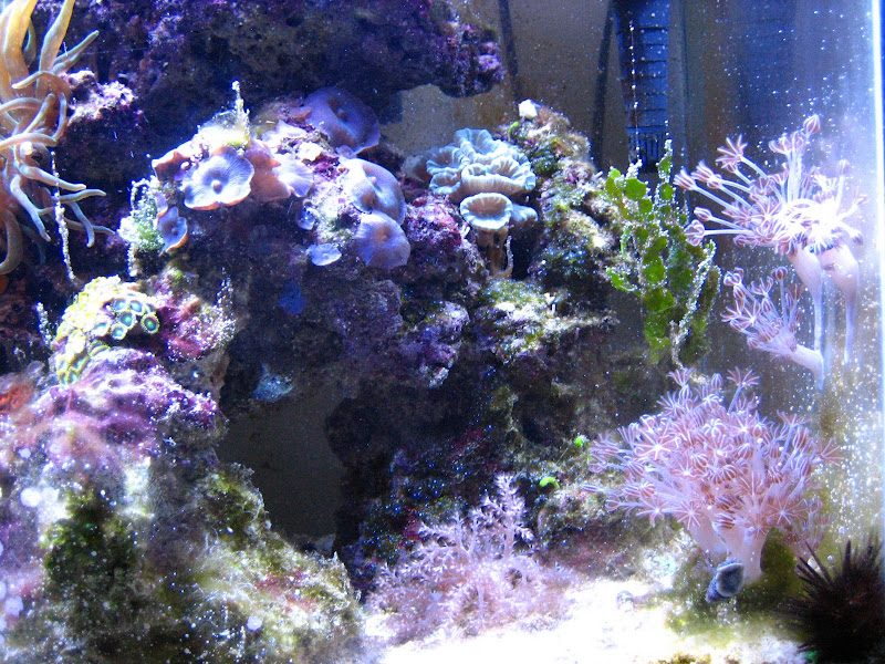 IMG_3223.jpg