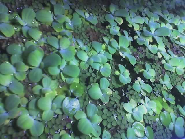 12-18-07_2310.jpg