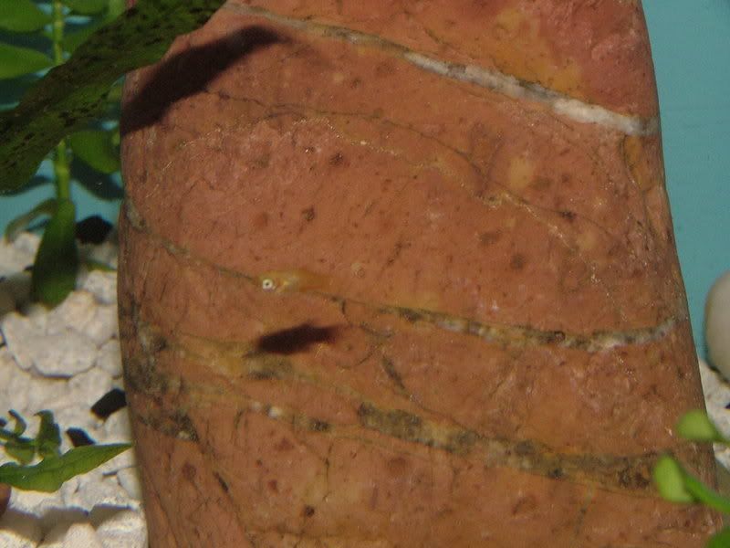 DSCF8113.jpg