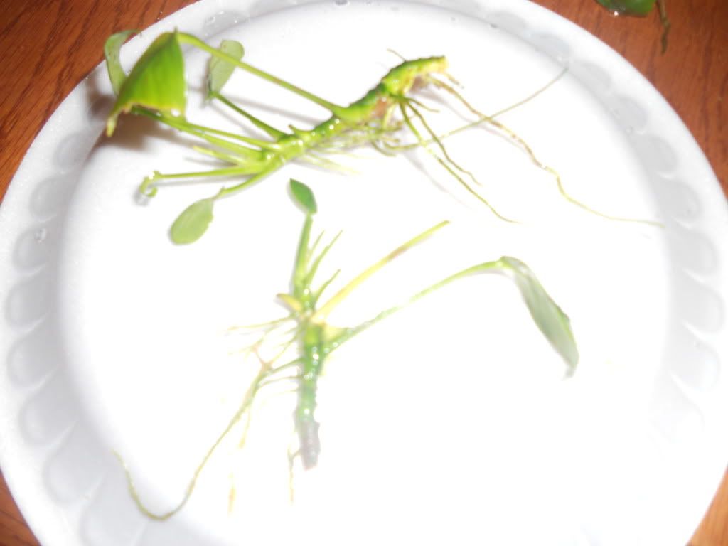 DSCN6113.jpg