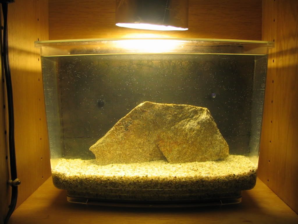 Ocean1196.jpg
