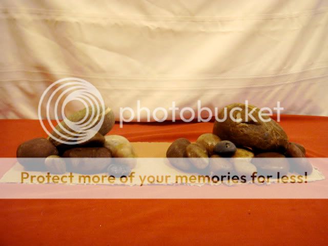 DSC03334.jpg