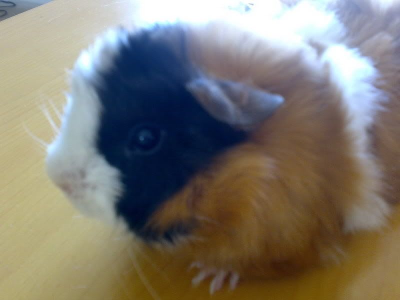 20080107119.jpg