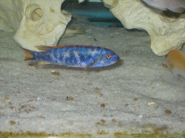017-3.jpg