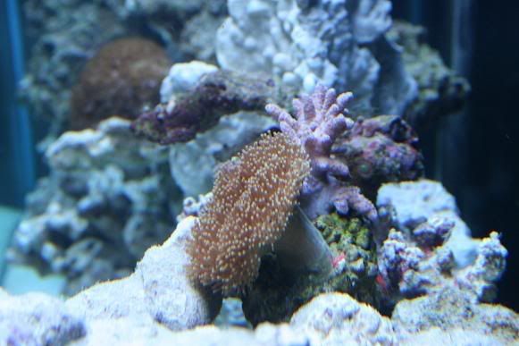 IMG_1080.jpg