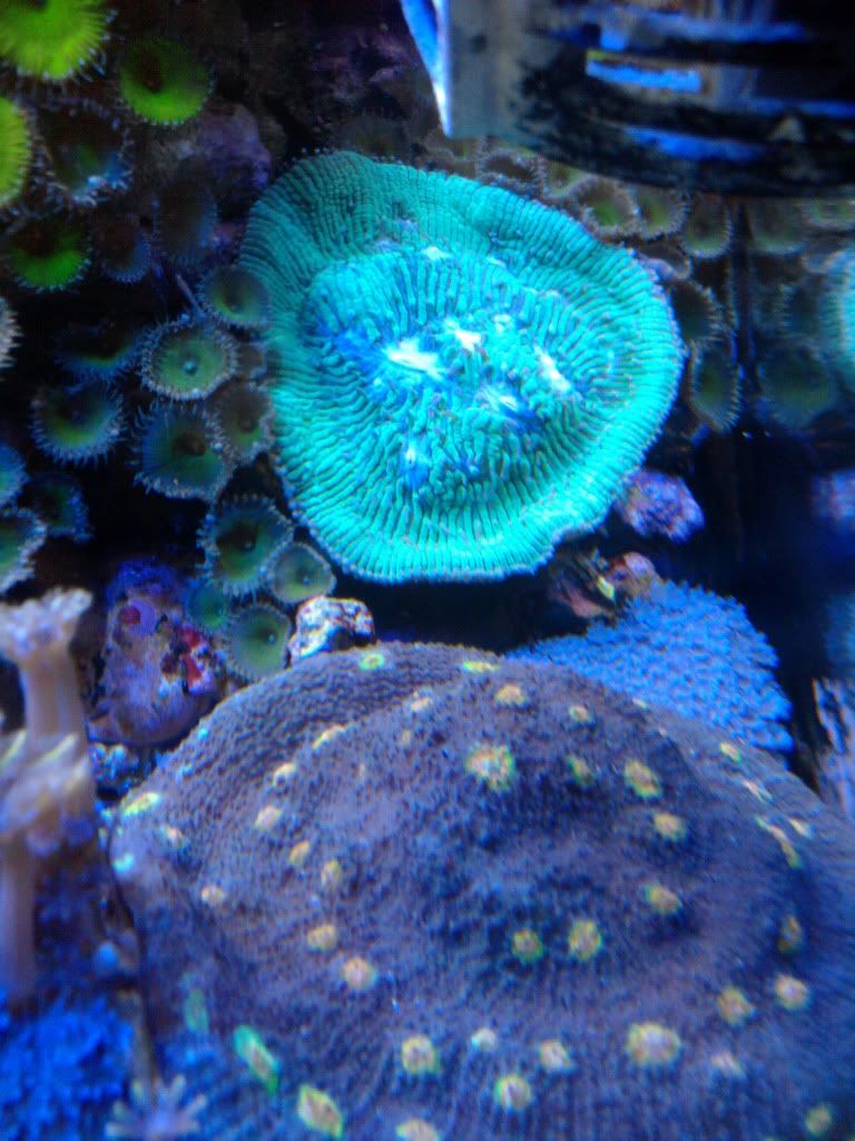 IMG_20110823_144141.jpg