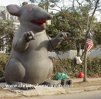 rat20and20flag.jpg