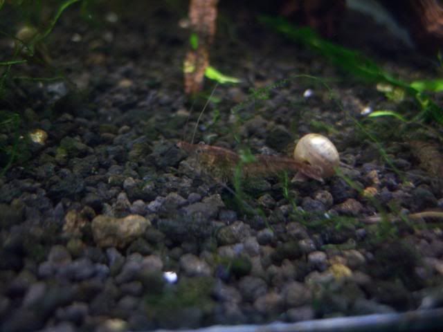 garupdate018.jpg