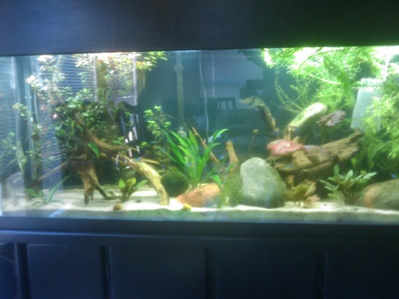 IMAG0243.jpg