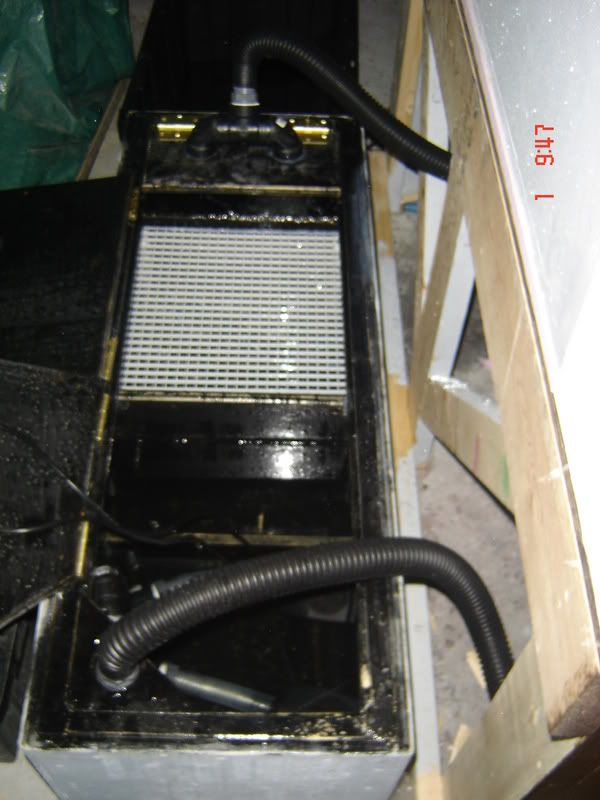 DSC02890.jpg