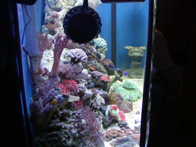 P1010055-5.jpg