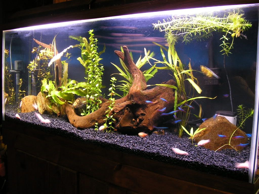55g6-18-09II.jpg