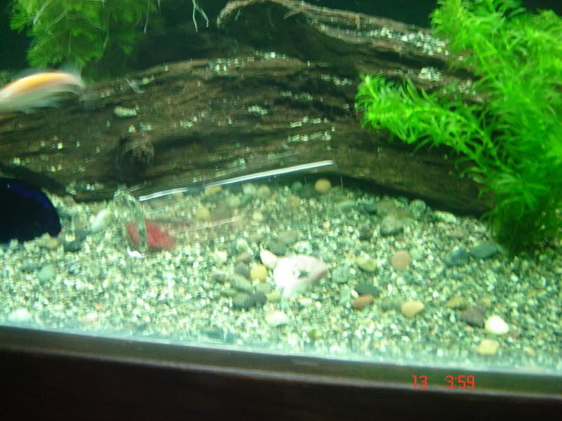 DSC03091.jpg