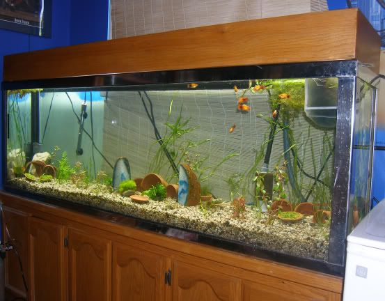 120gal-08-07-2006.jpg