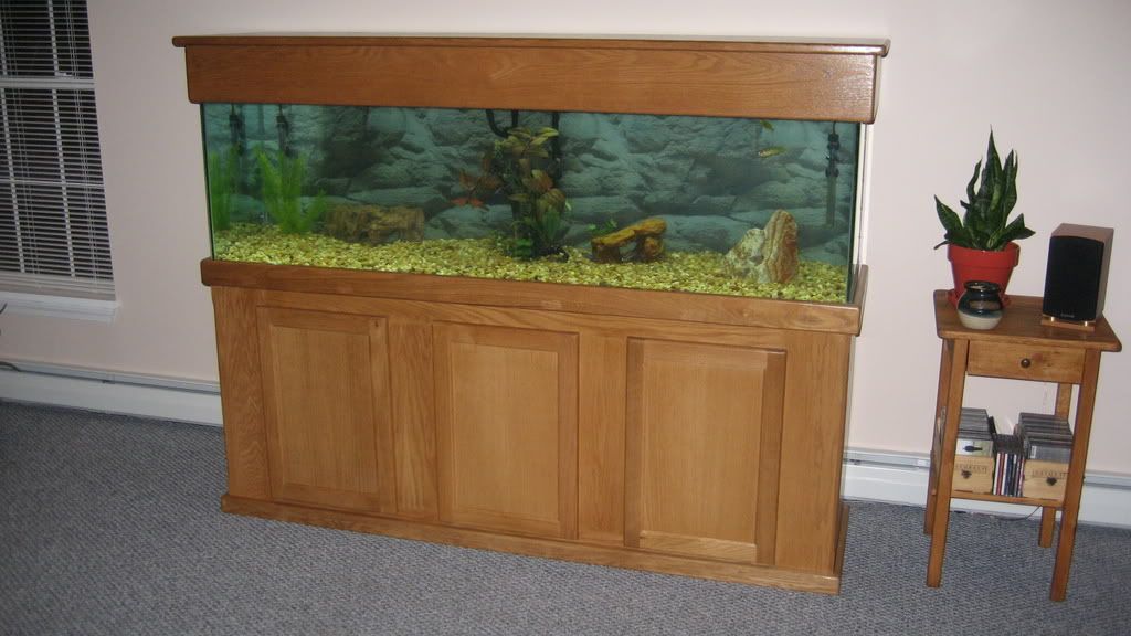 Picture058.jpg