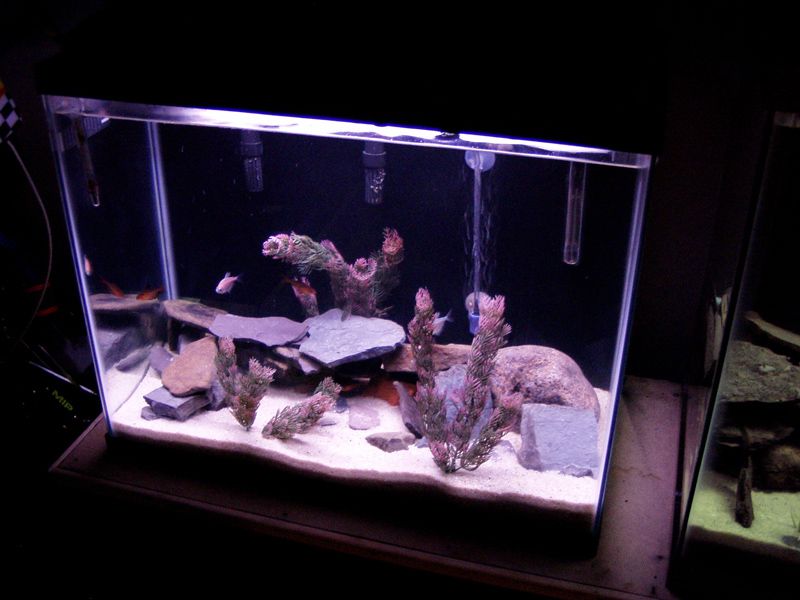 P1010107-2.jpg