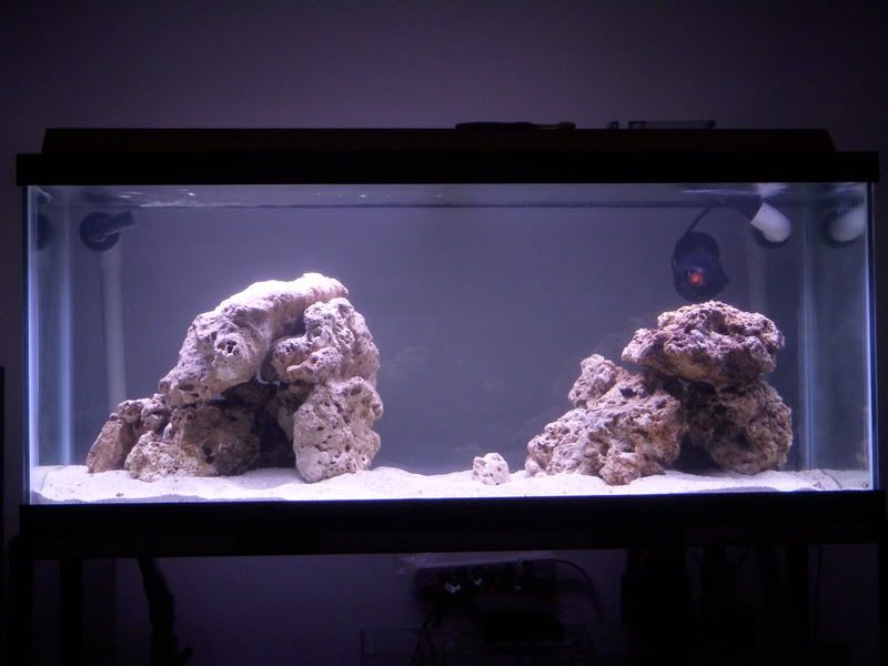 DSCN0994.jpg