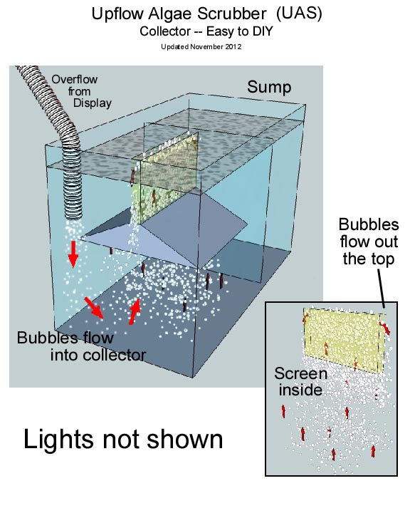 P7.jpg