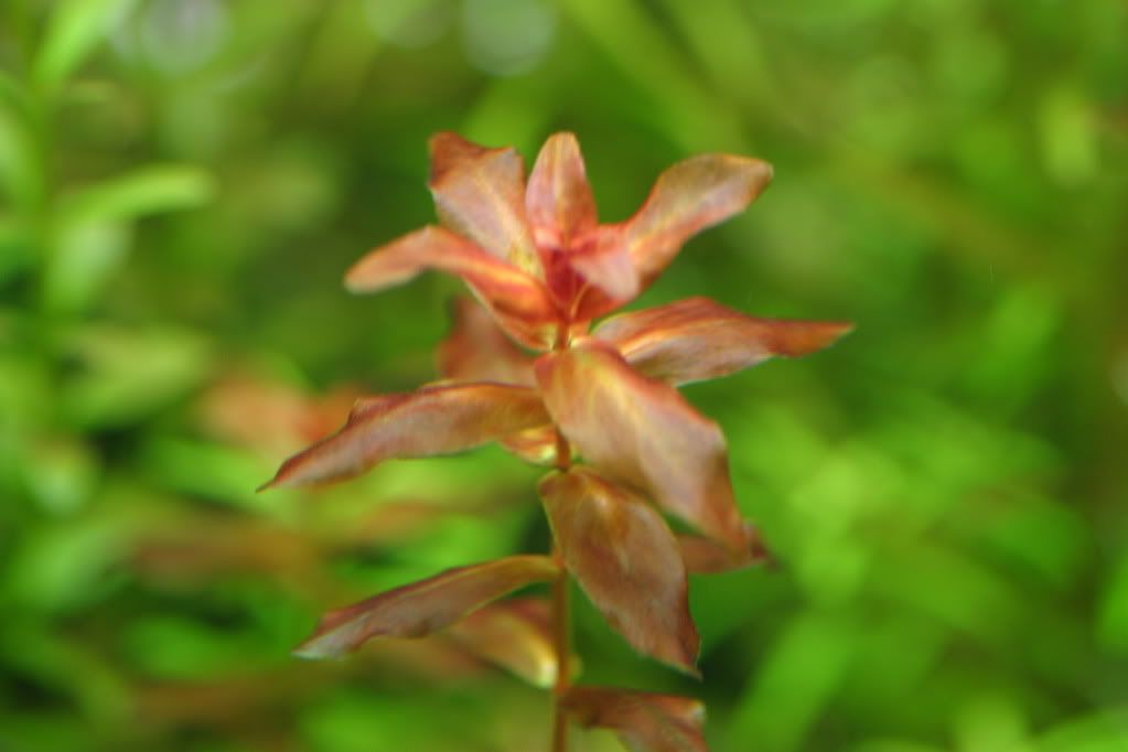 60g04-12-10032.jpg