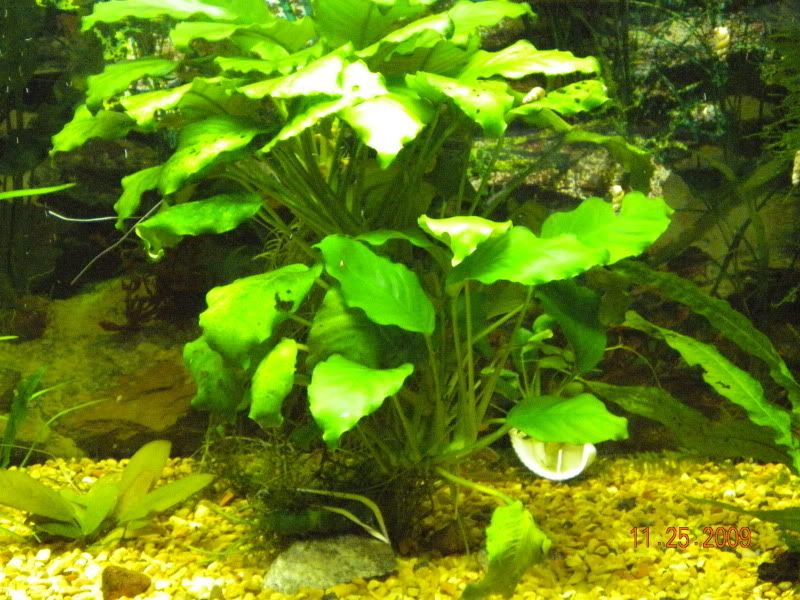 DSCN0092.jpg