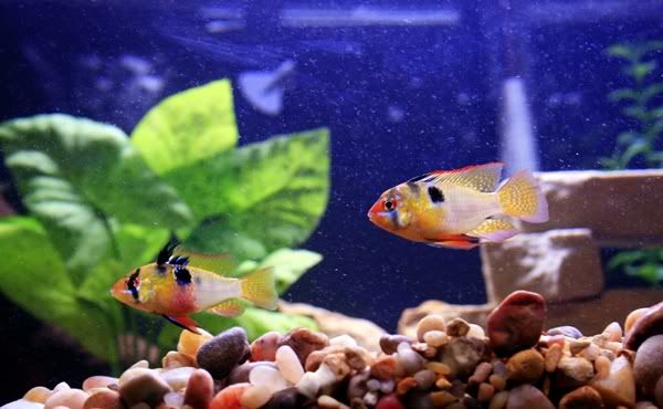_MG_3451.jpg