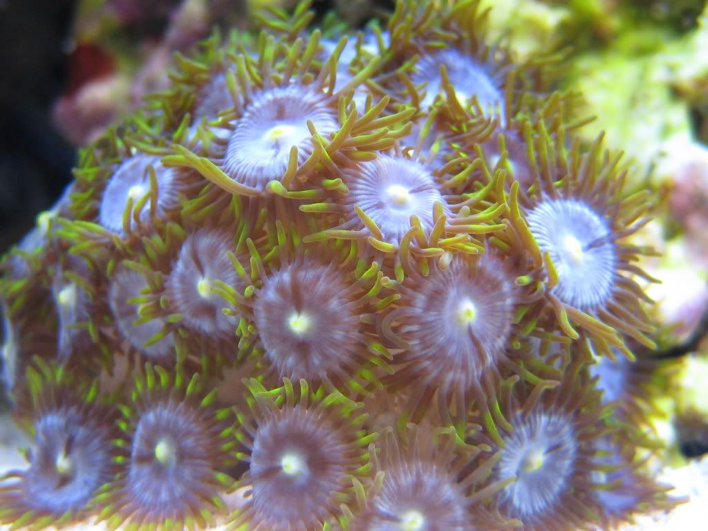 IMG_1054.jpg