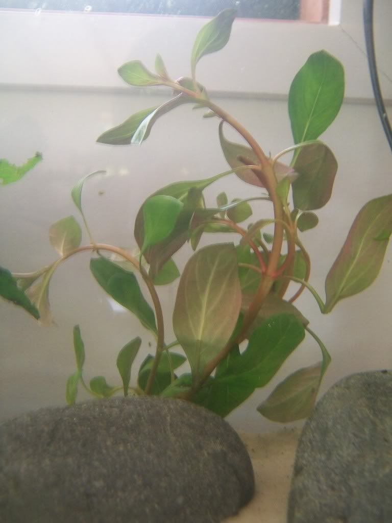 100_1071.jpg
