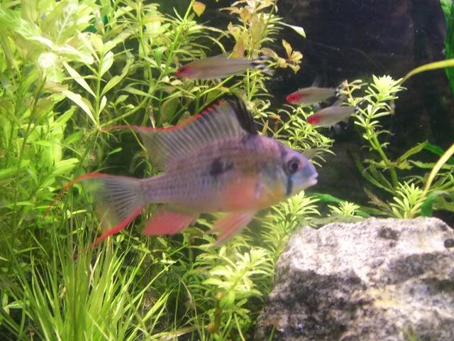 100_3742.jpg