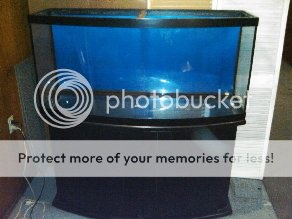 IMG00084-20100206-1230.jpg