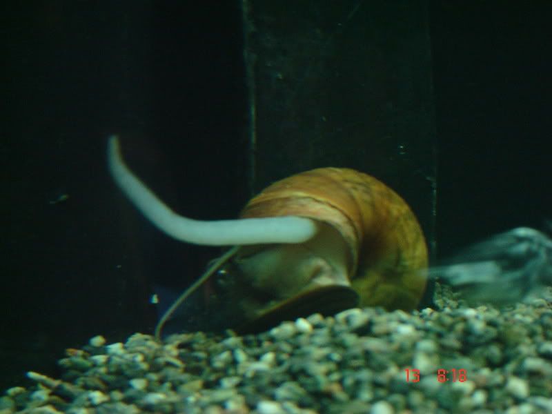 DSC03108.jpg