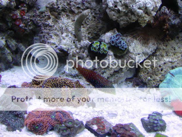 P1010008-19.jpg